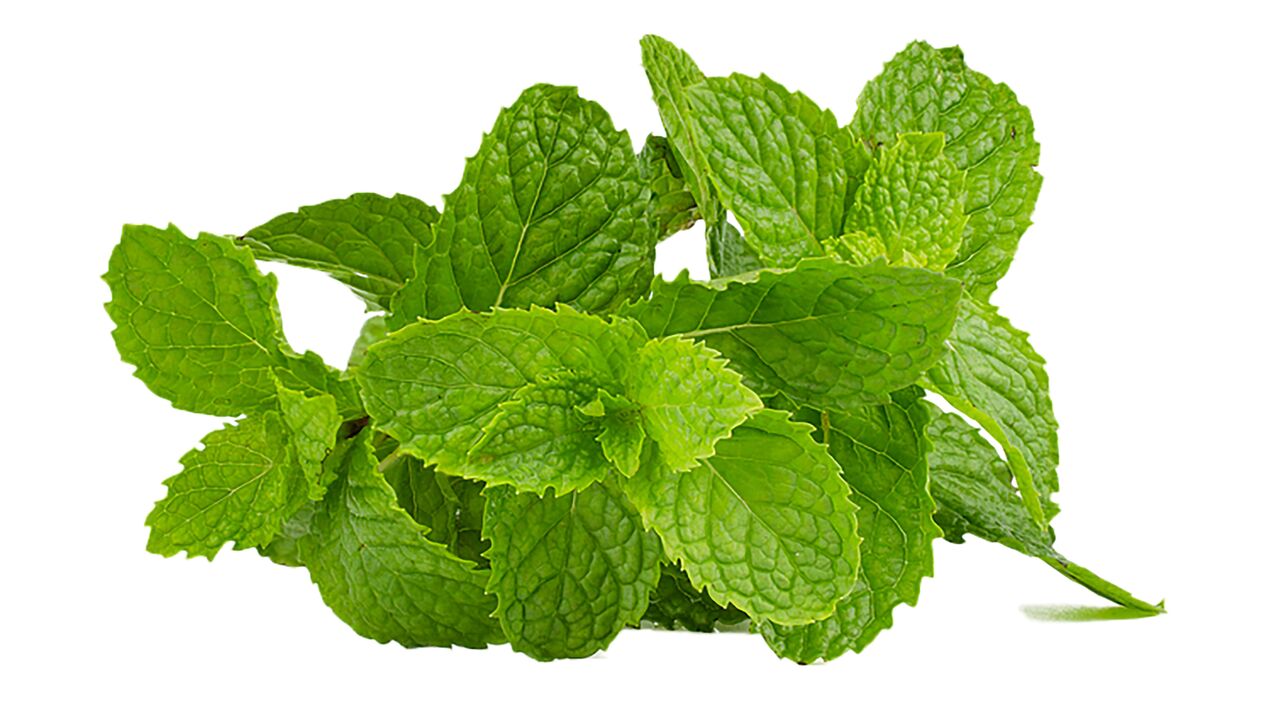 Menthol in vasaxal